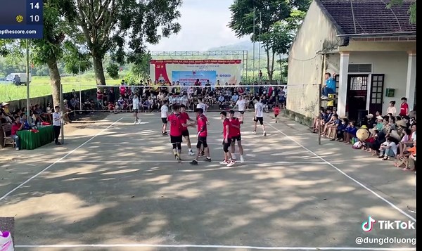 Mèo Con Giữa Những Con Hổ: Một Câu Chuyện Đáng Yêu