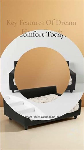Transform Your Pet's Comfort Today!