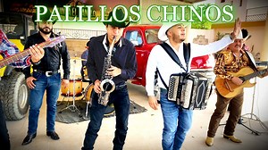 🔥A bailar mi RAZITA 💃🏼🕺🏻 De nuestras grabaciones, se llama Palillos Chinos Compartan #Taurosdelnorte #torosbravos #Llegandoyechandolumbre #TaurosDelNorte #taurosdelnorte | Los Tauros Del Norte