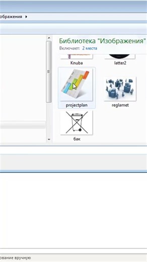 How to add and edit an image to a report in MS Project Pro? #oberemokivan #msproject