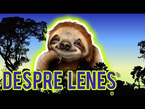 THE SLOUCHY | about the Sloth and his Life | The Sloth Animal | Curiosities about Sloths #sloth