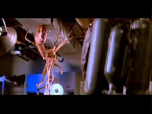 The Thing 1982 30th Anniversary Tribute Video - The Thing Theme