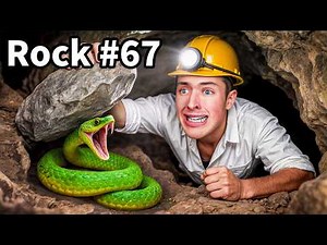 I Flipped 100 Rocks in a Cave, Here's what I Found..