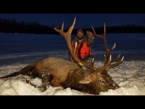 Michigan Elk Hunting