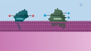 Video: Factors Affecting Drug Biotransformation: Physicochemical and Chemical Properties of Drugs
