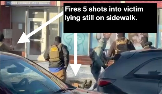 Video Analysis of Minneapolis Shooting Shows 12 Shots Fired, 5 After Victim Lying Still on Pavement