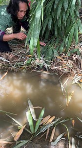 I saw a big fish in the water,I caught it with my hand. | Angelo Vlog