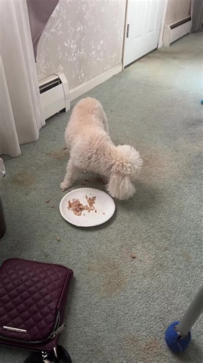 Debbie sisson (@deb.diddpn)’s videos with Wild Thing - Tone-Loc