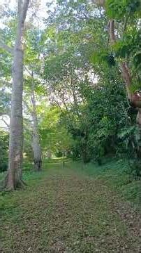 paz y tranquilidad 🍃🌎