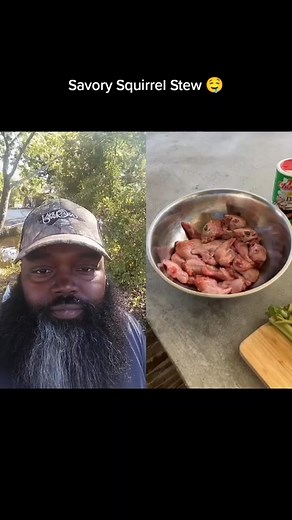 Savory Squirrel Stew Recipe - Delicious Homemade Dish!