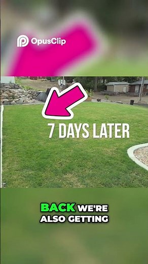 Blue DEF Lawn Transformation - Green Lawn in 7 Days!