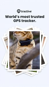 Every 2 seconds, a pet goes missing. Don’t take the risk—track them in real-time and keep them safe  Live Tracking: Know where your pet is in real-time  Bark Monitoring: Understand barking patterns to tackle behaviors like separation anxiety  Get alerted when your pet leaves the designated area  Track your pet's health and fitness levels  100% Waterproof | Tractive | Facebook