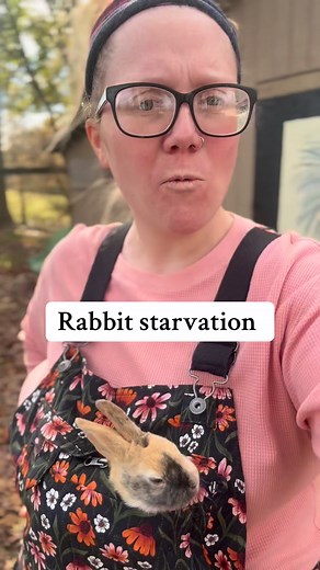 So what is rabbit starvation? Rabbit starvation is literally protein poisoning. Unless you eat nothing but rabbit, you’ll be fine. 💜 #meatrabbits #rabbitry #rabbit #rabbits #theeastonhomestead #homesteaders #homesteadlife #farmlife #homesteading #countryliving #selfsufficiency #homesteadliving | Hannah Easton
