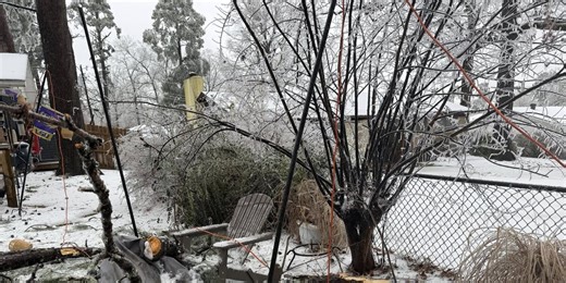 Historic ice storm leaves ArkLaMiss reeling, but resilience prevails