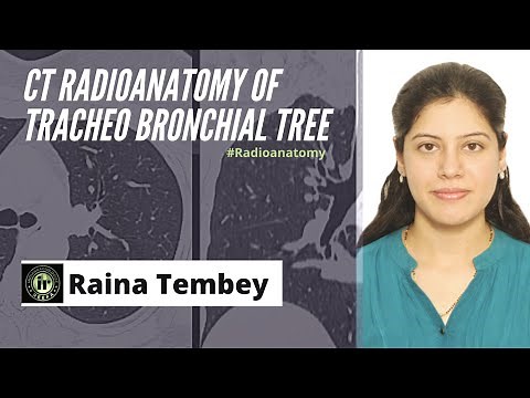 CT TRACHEOBRONCHIAL TREE ANATOMY | RAINA TEMBEY | HRCT CHEST | RADIOANATOMY TRACHEA AND BRONCHI
