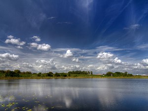 Cheap Apartments for Rent in 33850, Lake Alfred, FL from $300