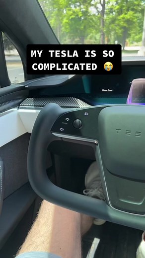 hamburger. #tesla #modelx #teslatok #fyp #hamburger