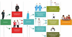 Filière élevage et viande | Economie & Métiers | La-Viande.fr