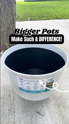 Bigger Pots Make Such A DIFFERENCE! ✨😍