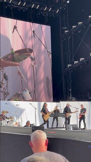 Steve Miller Band Jungle Love, Live #stevemillerband #junglelove #concert #livemusic #classicrock