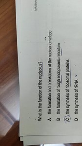 MR/IBRAWhat is the function of the nucleolus?A the formation... | Filo
