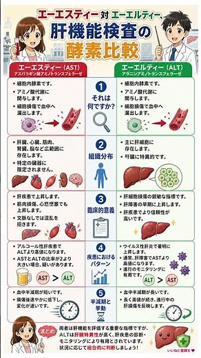 【【健康診断】数値の意味知ってる？😱 AST vs ALT：肝機能検査の徹底比較】