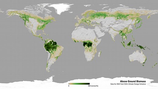 ESA unveils longest-ever dataset on forest biomass