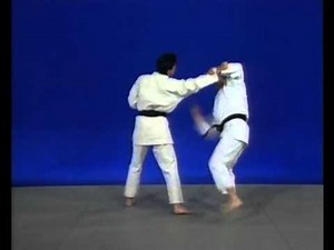Maitriser jujitsu - Techniques basique