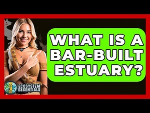 What Is A Bar-built Estuary? - Ecosystem Essentials