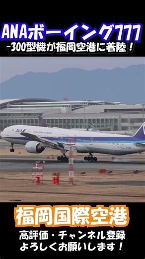 【圧巻】全長74mの巨体が舞い降りる！ANA B777-300（JA755A） 福岡空港着陸 🛬