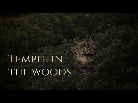 Chinese Temple in the Rain |Ambience and Music| sounds of rain and forest with ambient music