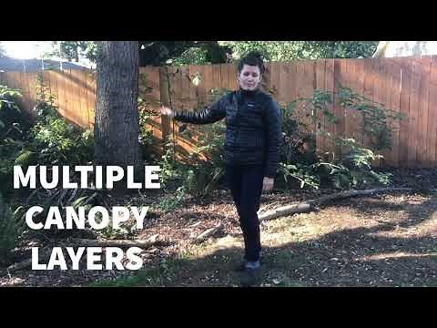 Naturescaping with Backyard Habitat video