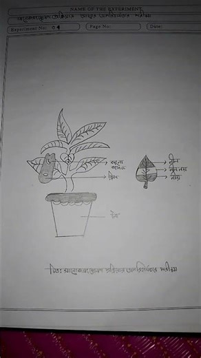 Ssc 2026 biology practical ❤️