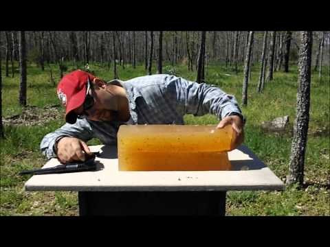 Ballistic gel test-22LR