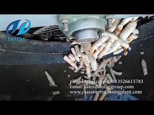 Cassava peeling machine running video in cassava production plant