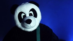 New Song!! Tell me what you think of my song “Famous”! It has PANDAS!!! 💜Share it with everyone! Also tell me where to have concerts! | Hello Taylor