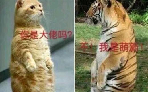 3dmax，怎样利用slice（切片）来做模型消失动画？