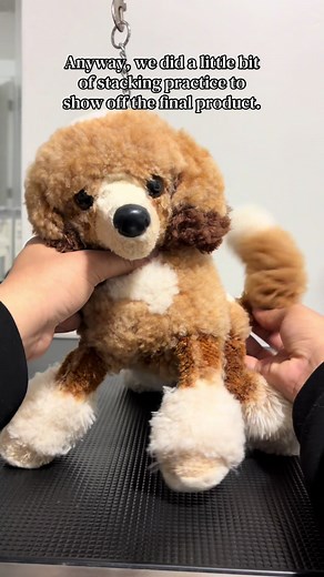 I promise no other dogs of mine are this nasty 😭😭 #mavenofthecatalyst #essa #essacommunity #ACT #plushies