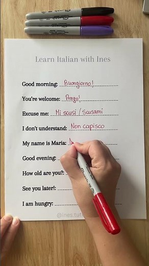 Italian words and phrases that every beginner should know! 🇮🇹