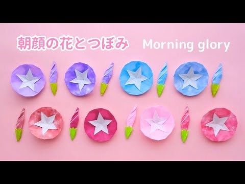How to make Origami Morning glory flower & bud.