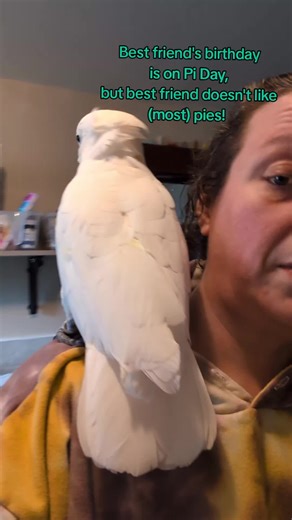 Celebrating My Best Friend's Birthday on Pi Day!