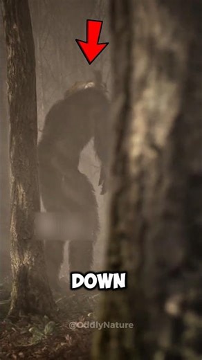 Animals With Scary Sounds When Slowed Down