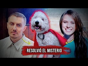 Titan, el perrito que RESOLVIÓ un crimen - Caso Mandy Rose Reynolds