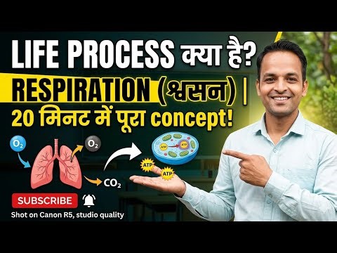What is Life Process