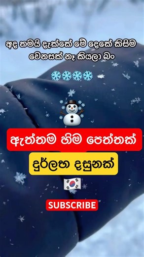 හිම පෙත්තක් ලගටම බලන්න 😍❄️🇰🇷 #korean #love #visaready #gold #trending #food #snow #snow #snoww