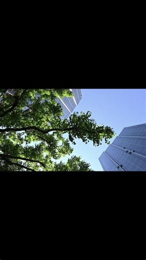 怎么去拥有一道彩虹 怎么去拥抱一夏天的风