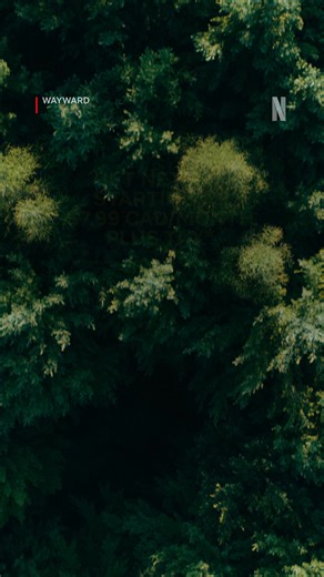 With new movies and shows arriving every week, there's always something to talk about on Netflix. | Netflix