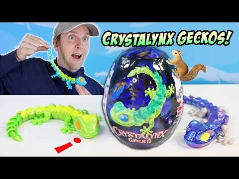 Crystalynx Geckos Eggs with Linking Mix and Match Colors & Codes Review