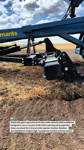 Massive Tractor Tire Power! 🚜💪 #FarmMachinery #BigTires #Agriculture