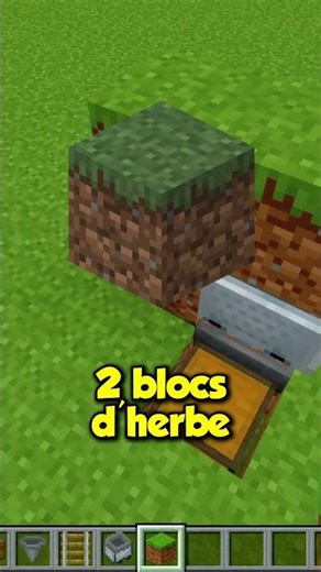 Cette FERME donne de la LAINE à L'INFINI sur MINECRAFT ! 🐑